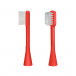 Сменная насадка для зубной щетки Панда 2 шт., красная Hapica | Фото 1