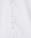 Классическая белая рубашка Dal Lago | Фото 3