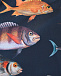 Плавки-шорты Norton Art Of Fish Molo | Фото 4