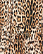 Леопардовое платье с лого Roberto Cavalli | Фото 4