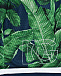 Бермуды с принтом &quot;листья&quot; Dolce&Gabbana | Фото 3