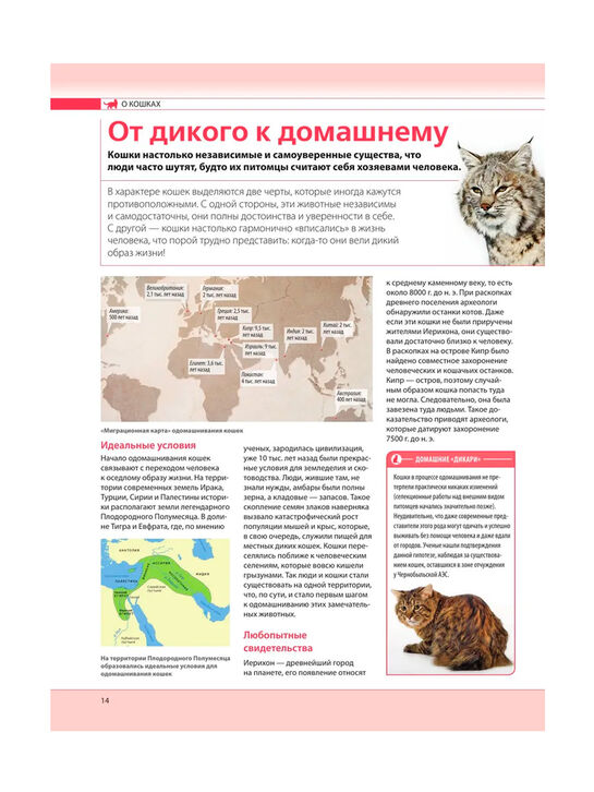 Кошки. Самая полная иллюстрированная энциклопедия Дудникова С.С., Есауленко О.В Эксмо | Фото 12