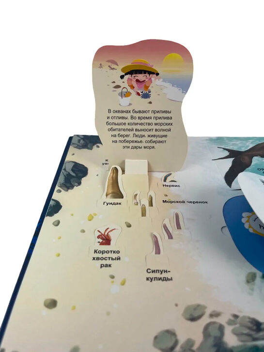 Тайны подводного мира. 3D-книга с окошками и пазлом Эксмо | Фото 14