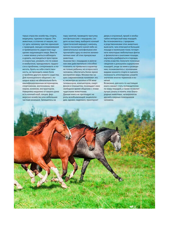 Лошади. Самая полная иллюстрированная энциклопедия Зимина Г. Эксмо | Фото 7
