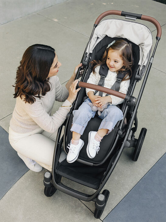 Коляска 2 в 1 VISTA V3 GREYSON UPPAbaby | Фото 19