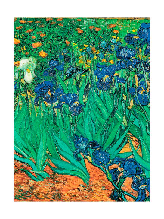 Ван Гог. Жизнь и творчество в 500 картинах Ховард М. Эксмо | Фото 11