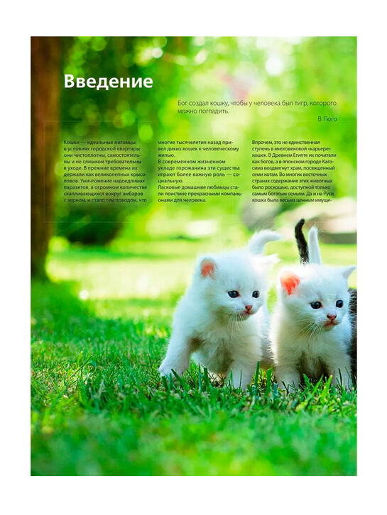 Кошки. Самая полная иллюстрированная энциклопедия Дудникова С.С., Есауленко О.В Эксмо | Фото 7