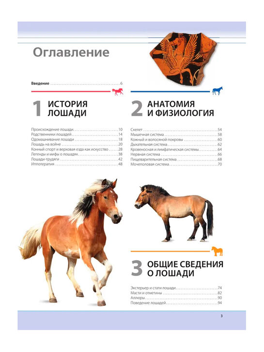 Лошади. Самая полная иллюстрированная энциклопедия Зимина Г. Эксмо | Фото 4