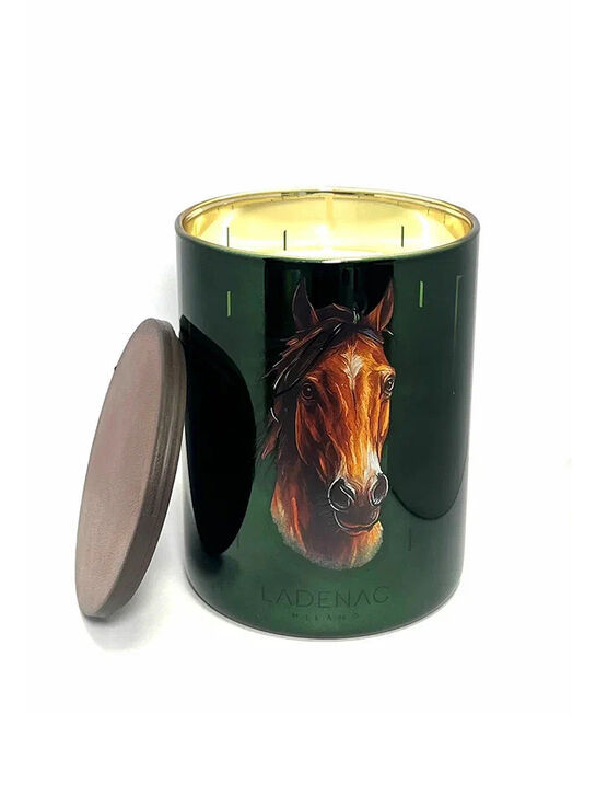 Ароматическая свеча Africa Horse 350 г Ladenac Milano | Фото 1