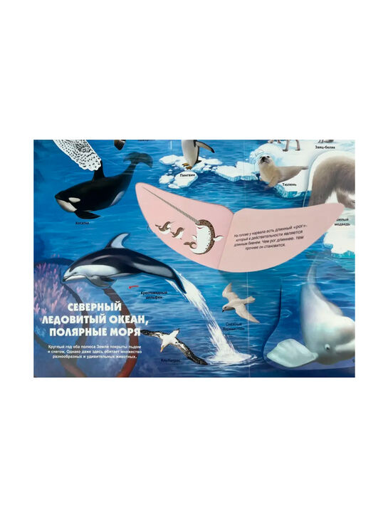 Тайны подводного мира. 3D-книга с окошками и пазлом Эксмо | Фото 11