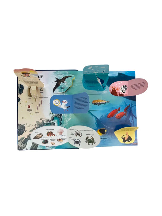 Тайны подводного мира. 3D-книга с окошками и пазлом Эксмо | Фото 12