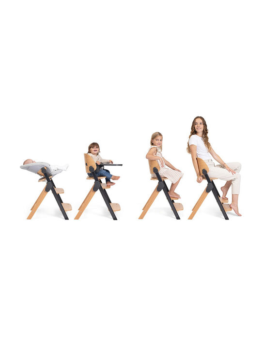 Стульчик для кормления Meraviglia Ebony CHICCO | Фото 25