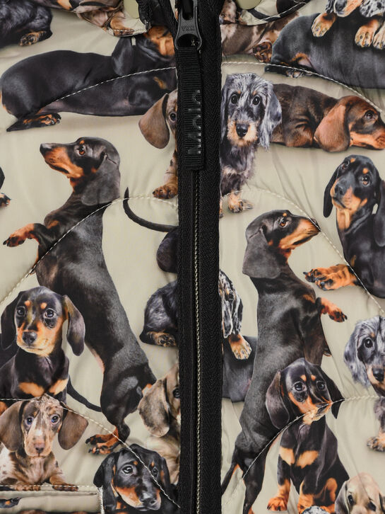 Комплект: куртка и брюки, принт &quot;таксы&quot; Molo | Фото 3