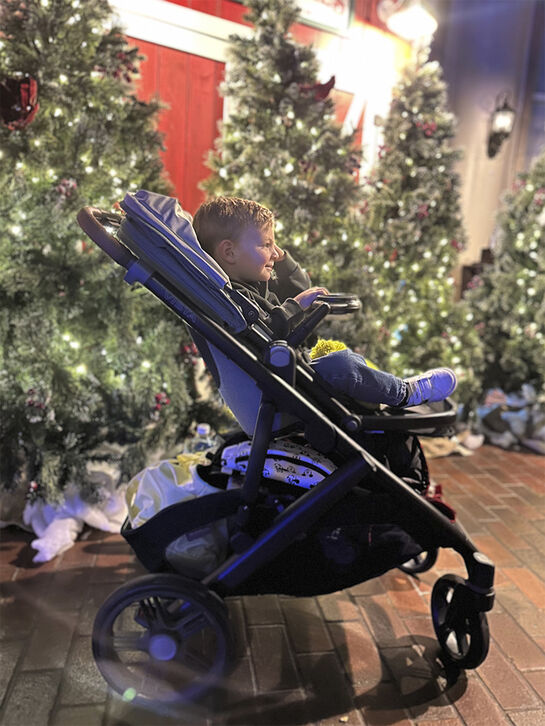 Коляска 2 в 1 VISTA V3 KENZI UPPAbaby | Фото 15