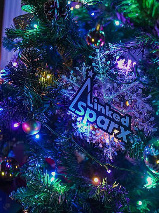 Гирлянда STRING 300 ламп, 2400см, RGB, Многоцветный + Белый , Управление через приложение LinkedSparx | Фото 4