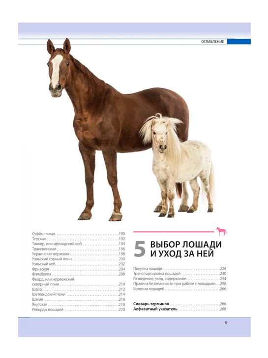 Лошади. Самая полная иллюстрированная энциклопедия Зимина Г. Эксмо | Фото 5