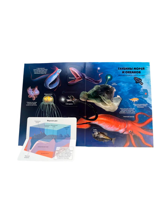 Тайны подводного мира. 3D-книга с окошками и пазлом Эксмо | Фото 10