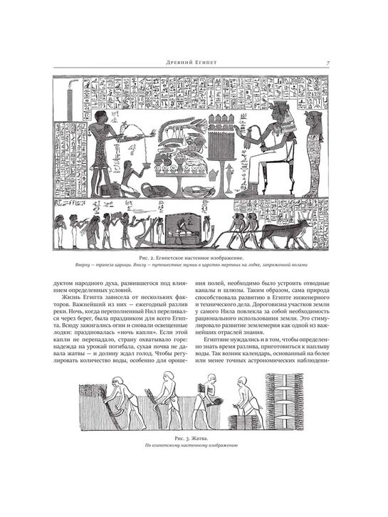 Всеобщая история искусств Гнедич П.П. Эксмо | Фото 6