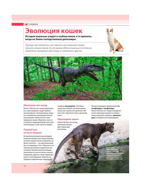 Кошки. Самая полная иллюстрированная энциклопедия Дудникова С.С., Есауленко О.В Эксмо | Фото 11