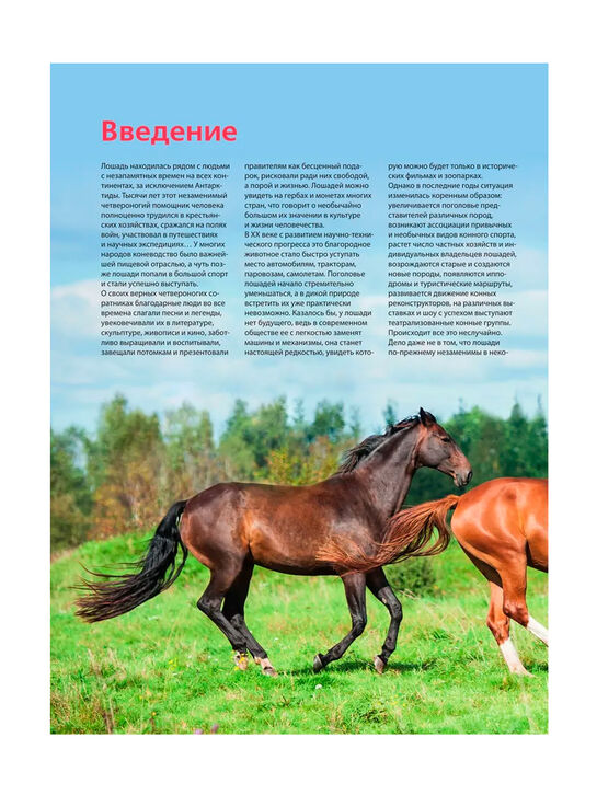 Лошади. Самая полная иллюстрированная энциклопедия Зимина Г. Эксмо | Фото 6