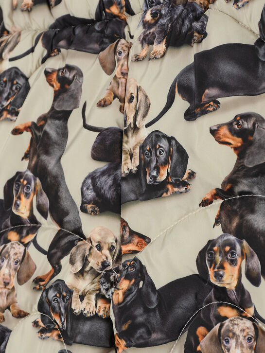 Комплект: куртка и брюки, принт &quot;таксы&quot; Molo | Фото 4