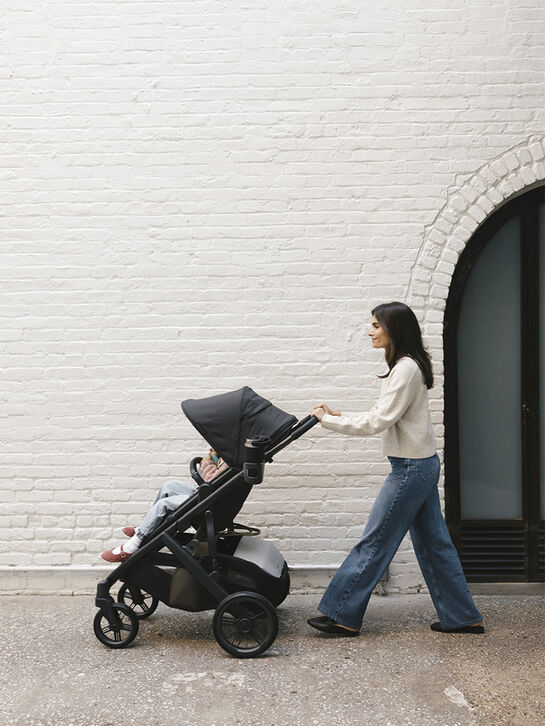 Коляска 2 в 1 VISTA V3 JAKE UPPAbaby | Фото 17