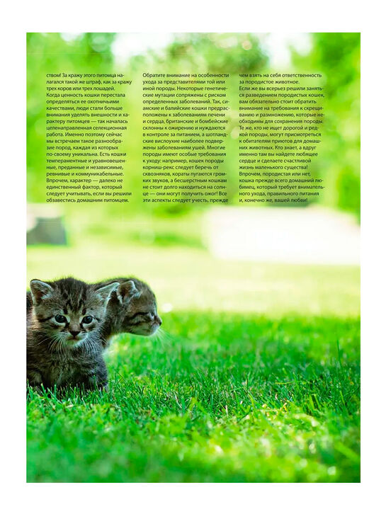Кошки. Самая полная иллюстрированная энциклопедия Дудникова С.С., Есауленко О.В Эксмо | Фото 8