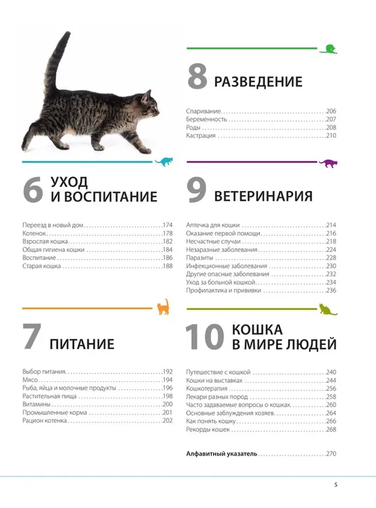 Кошки. Самая полная иллюстрированная энциклопедия Дудникова С.С., Есауленко О.В Эксмо | Фото 6