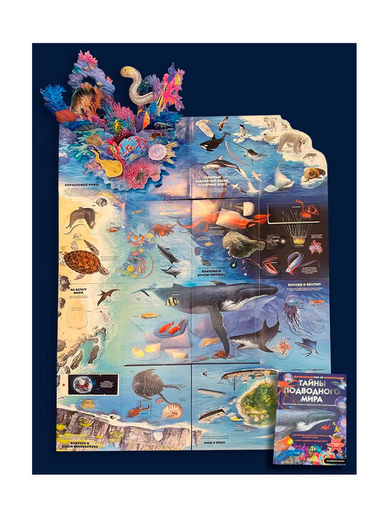 Тайны подводного мира. 3D-книга с окошками и пазлом Эксмо | Фото 6