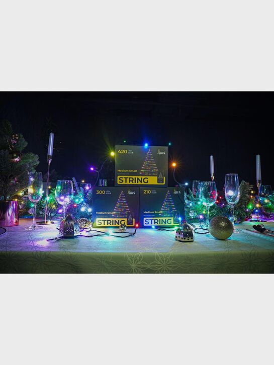 Гирлянда STRING 300 ламп, 2400см, RGB, Многоцветный + Белый , Управление через приложение LinkedSparx | Фото 7