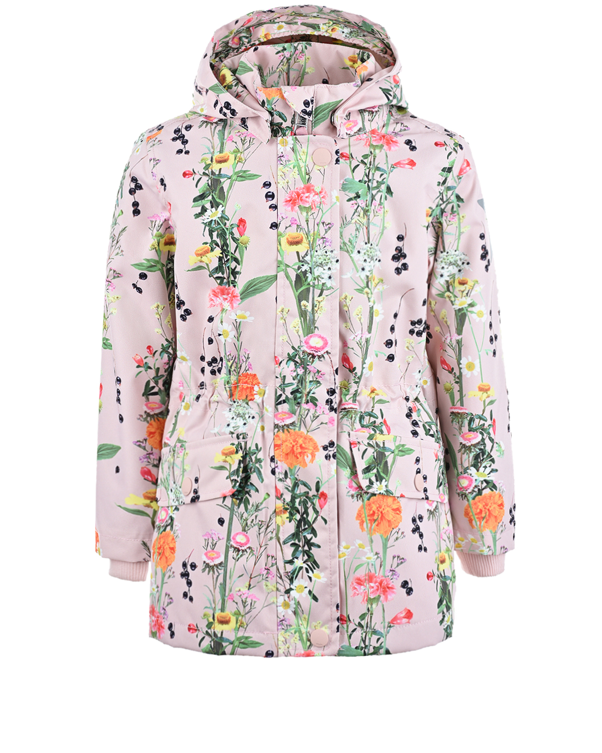 Купить Мембранная куртка Carole Vertical Flowers Molo, Розовый, 100%полиэстер, 100%хлопок