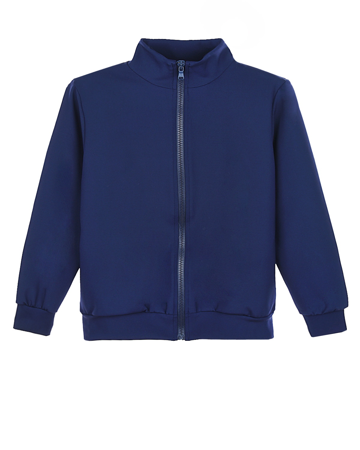 

Спортивная куртка с полосатым принтом на спинке Fendi, Синий, Спортивная куртка с полосатым принтом на спинке Fendi