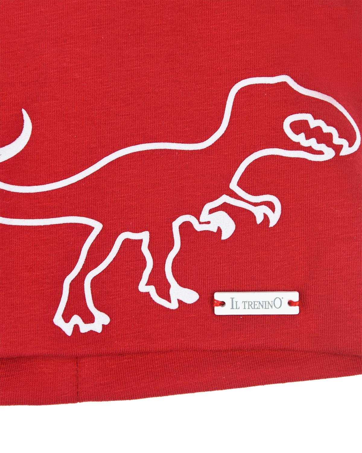 Красная шапка с принтом "динозавр" Il Trenino детская, размер 48/50, цвет нет цвета - фото 3
