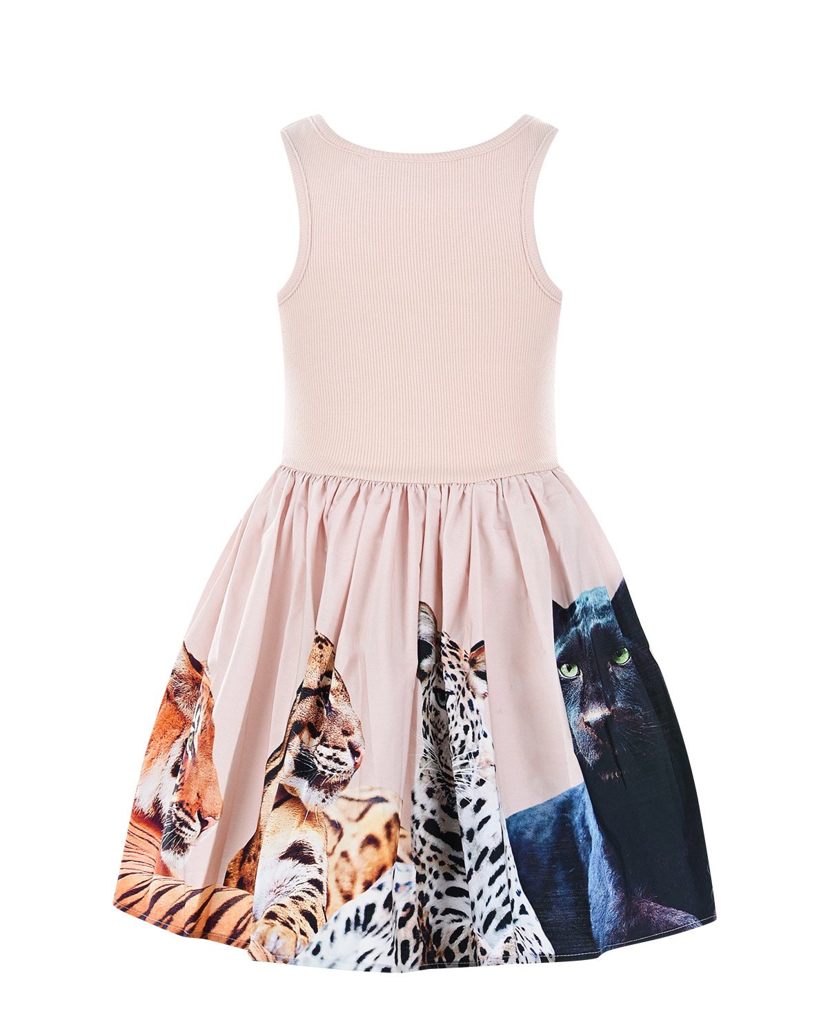Платье Cassandra Big Cats Molo, размер 116, цвет нет цвета - фото 2