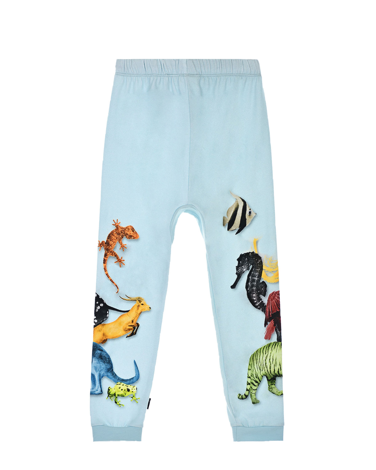 Голубые спортивные брюки с принтом Molo детские, размер 80, цвет голубой - фото 2