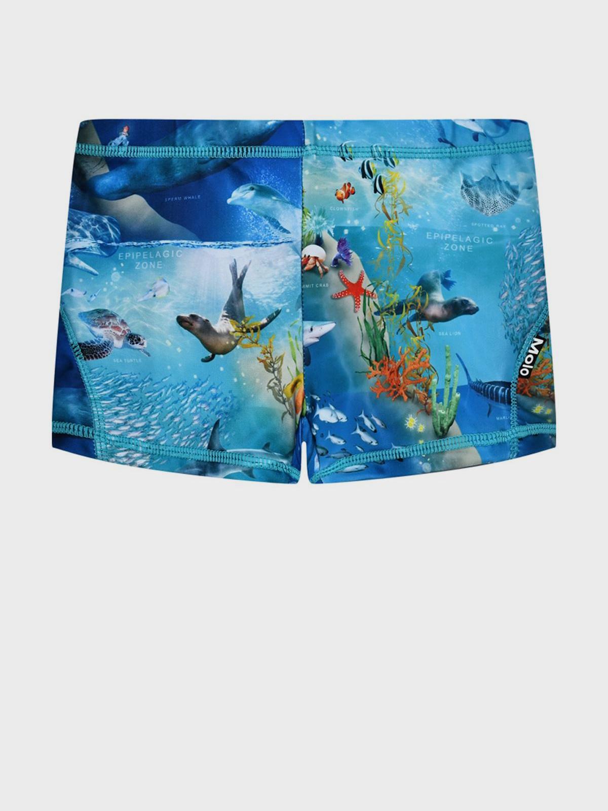 Плавки - шорты принт морские обитатели Molo