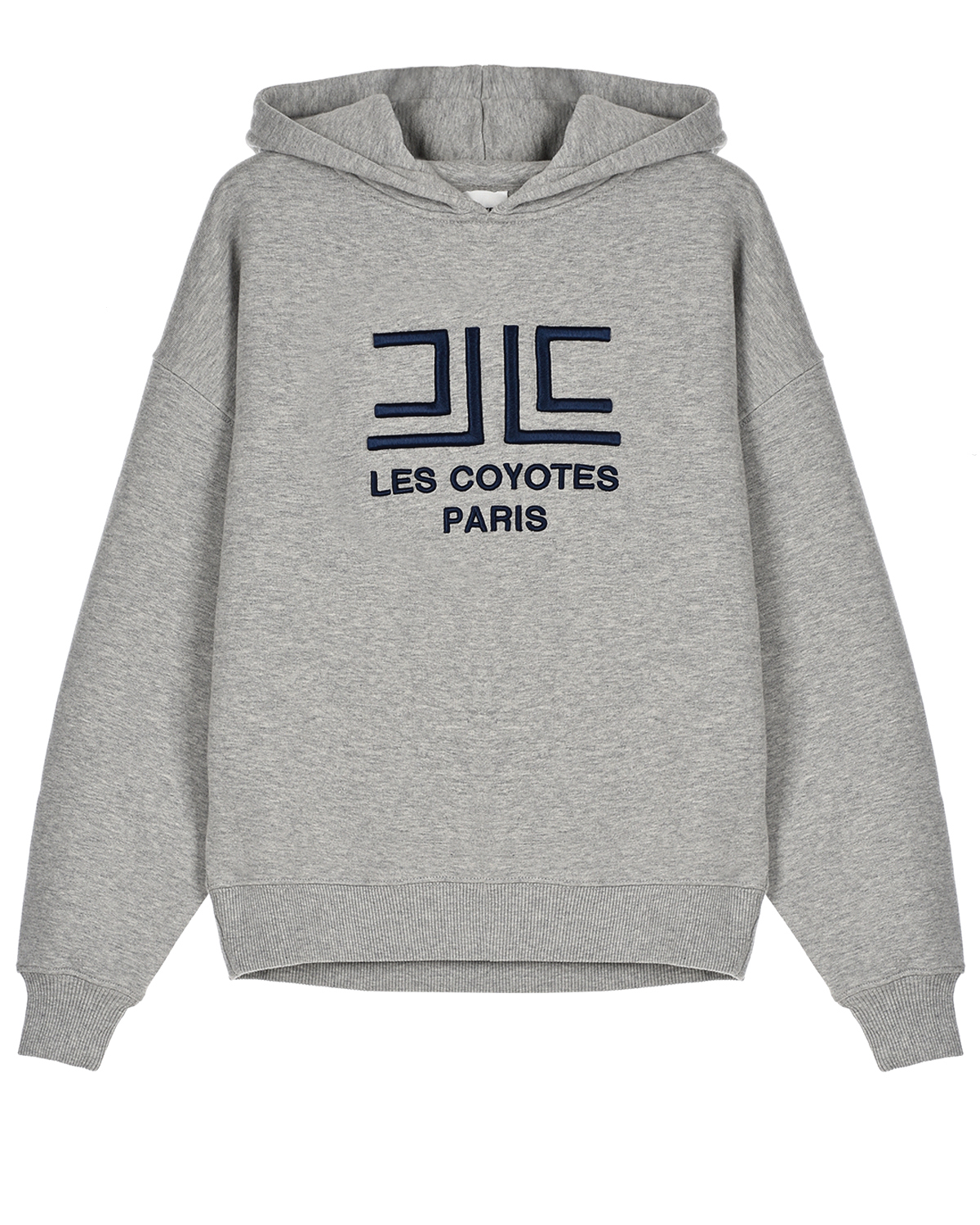 Серая толстовка-худи с логотипом Les Coyotes de Paris детская