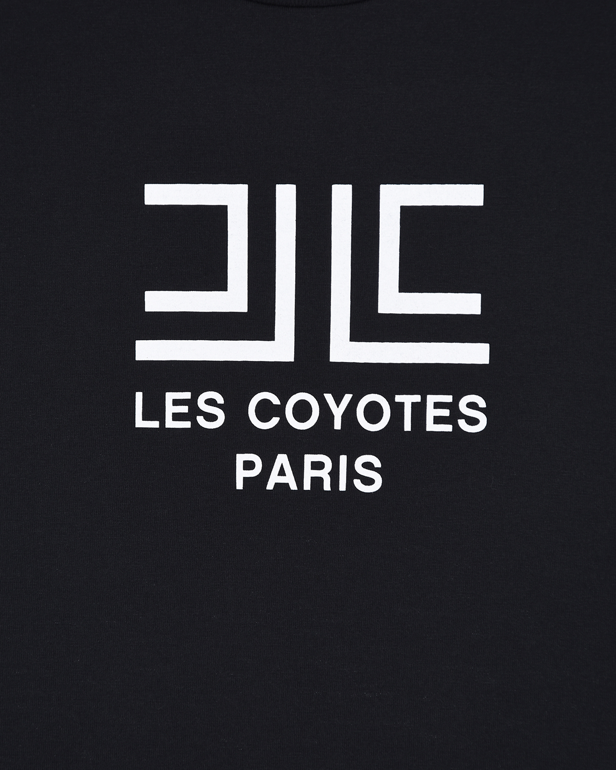 Черная футболка с белым логотипом Les Coyotes de Paris детская, размер 176, цвет черный - фото 3