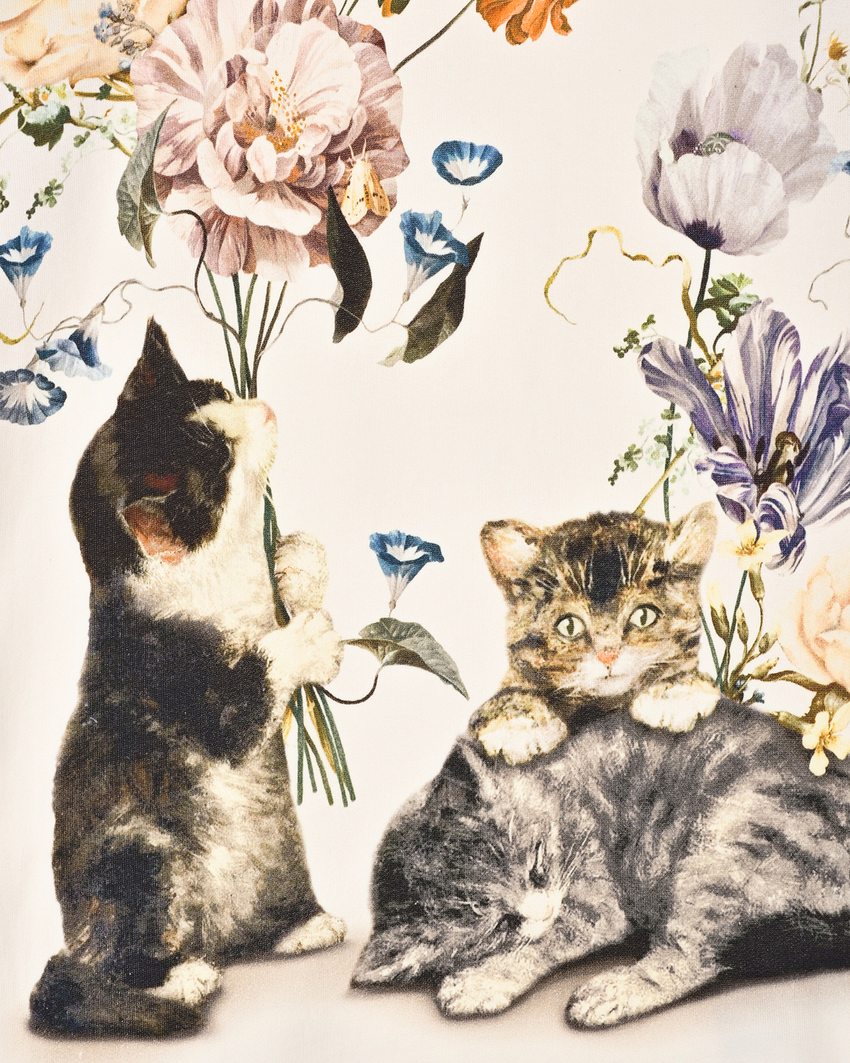 Свитшот с прином "котята" Molo детский, размер 104, цвет кремовый - фото 3