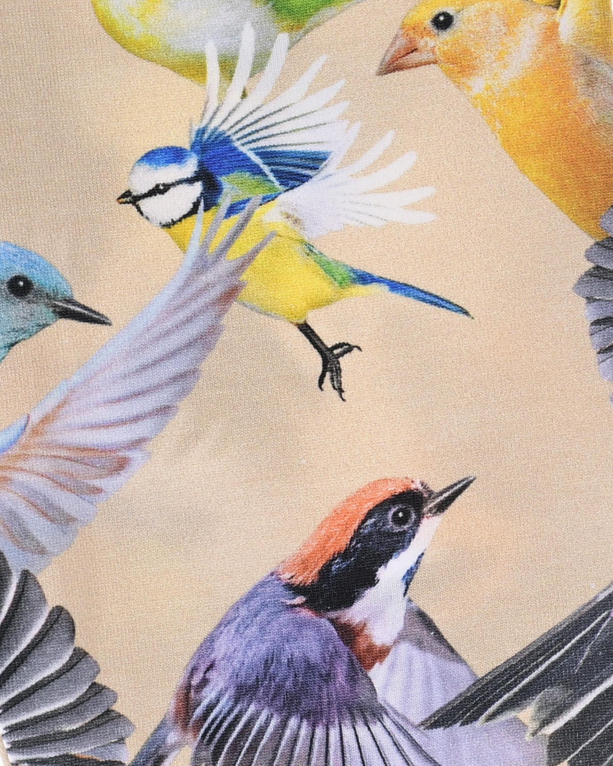 Леггинсы с принтом "птицы" Molo детские, размер 104, цвет мультиколор - фото 3