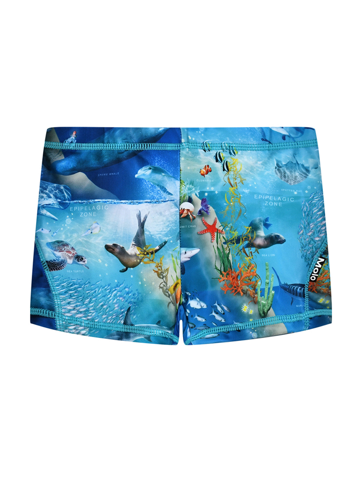 Плавки - шорты принт морские обитатели Molo 5999₽