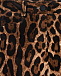 Бархатные леопардовые брюки Dolce&Gabbana | Фото 3