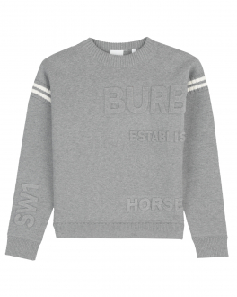 Серый свитшот с логотипом Burberry Серый, арт. KB5-GUERNSEY JUMPER:129423 8047483 A1216 | Фото 1