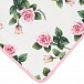 Трикотажное одеяло с принтом &quot;Тропические розы&quot; Dolce&Gabbana | Фото 4