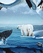 Толстовка с принтом Arctic Landscape Molo | Фото 4