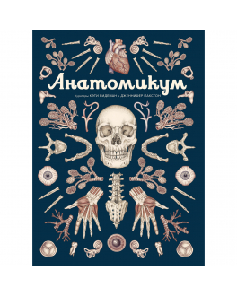 Книга Анатомикум Махаон , арт. 978-5-389-16512-0 | Фото 1