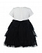Черно-белое платье с пышной многоярусной юбкой Aletta | Фото 2