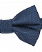 Синий галстук-бабочка Silver Spoon | Фото 3
