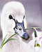 Толстовка Little Swan Molo | Фото 3