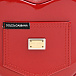 Сумка лакированная в форме сердца с логотипом DG, красная Dolce&Gabbana | Фото 5